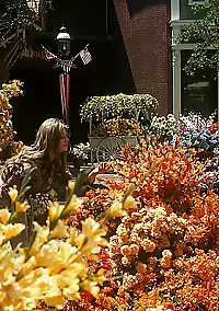 private classic porn pics