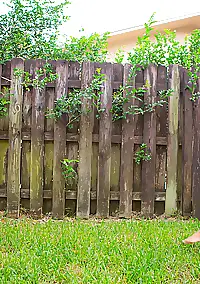 welcome to cosmid pics