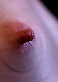 sarah shevon suffers pics